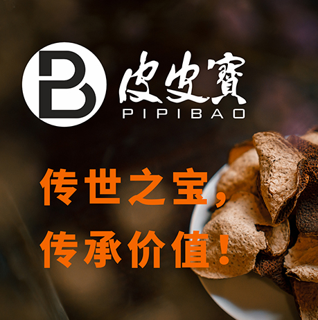 品牌|皮皮宝